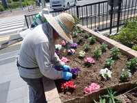 DSCF8495.JPG