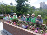 DSCF8501.JPG