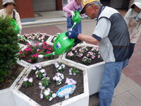 DSCF8515.JPG