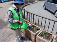 DSCF8651.JPG