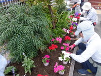 DSCF8678.JPG
