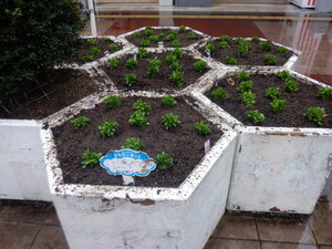 DSCF7270.JPG