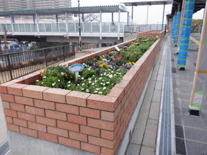 DSCF7276.JPG