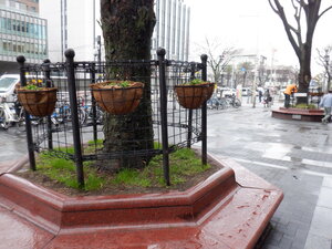 DSCF7398.JPG
