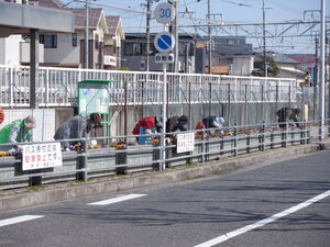DSCF7460.JPG
