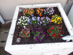 DSCF7465.JPG