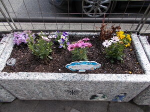 DSCN6952.JPG