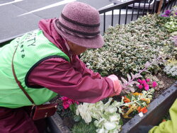 DSCF7713.JPG