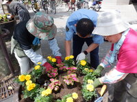 DSCF8696.JPG