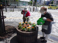 DSCF8699.JPG