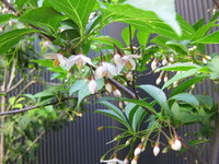 IMG_2905.jpg